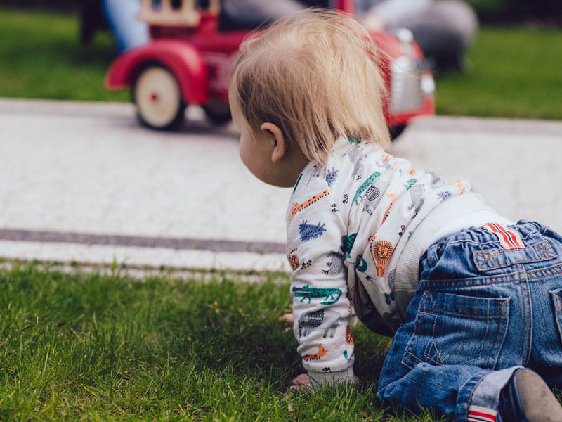 All About Health And Development of 8 Month's Baby