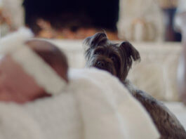 Things To Take Care When Dog And New Baby Are At The Same Place