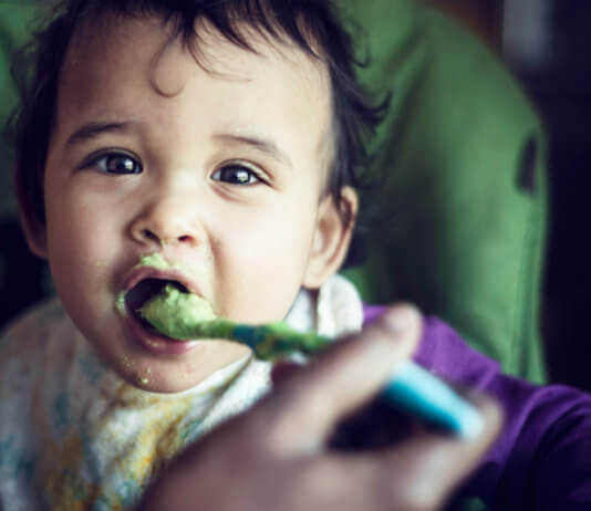 Baby Food – Homemade Baby Foods For 6 To 8 Months Babies