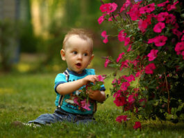 What Are The Causes of Autism And How Can You Avoid It