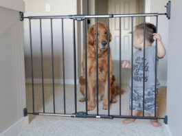 Tips To Keep Your Baby Safe - Indoor And Outdoor Safety of Kids