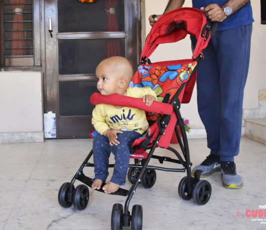 Luvlap Tutti Frutti Baby Stroller – Used And Reviewed